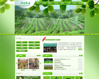 昆明網站建設